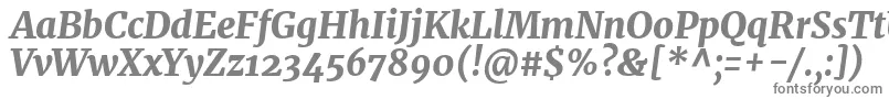 Czcionka MerriweatherHeavyitalic – szare czcionki