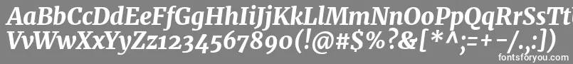 MerriweatherHeavyitalic-fontti – valkoiset fontit harmaalla taustalla