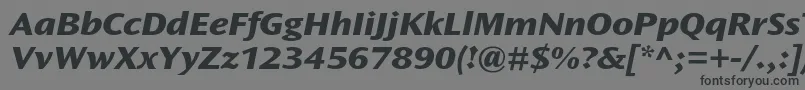 OceansansstdXboldextita Font – Black Fonts on Gray Background