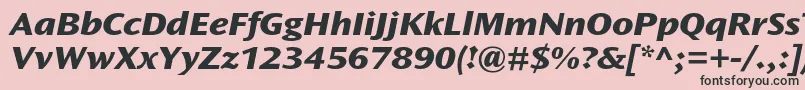 OceansansstdXboldextita Font – Black Fonts on Pink Background