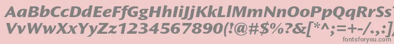 OceansansstdXboldextita Font – Gray Fonts on Pink Background