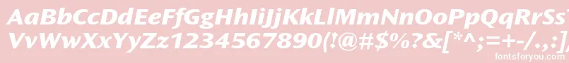 OceansansstdXboldextita Font – White Fonts on Pink Background