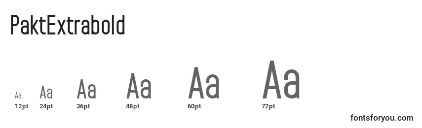 PaktExtrabold Font Sizes