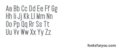 PaktExtrabold Font