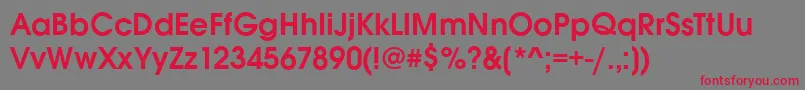 AvignonDemi Font – Red Fonts on Gray Background