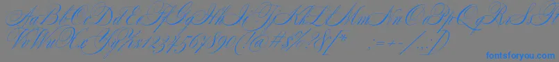 SplendidScript-fontti – siniset fontit harmaalla taustalla
