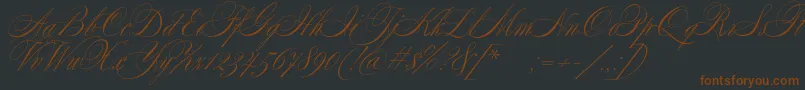 SplendidScript Font – Brown Fonts on Black Background