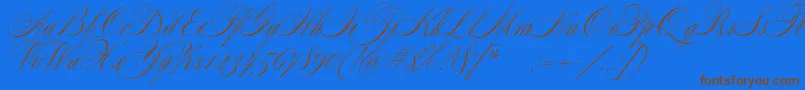 Czcionka SplendidScript – brązowe czcionki na niebieskim tle