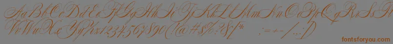 フォントSplendidScript – 茶色の文字が灰色の背景にあります。