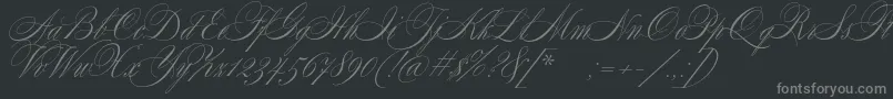 SplendidScript Font – Gray Fonts on Black Background