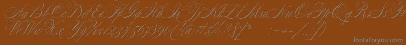 SplendidScript Font – Gray Fonts on Brown Background