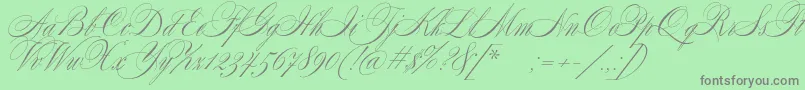 Police SplendidScript – polices grises sur fond vert