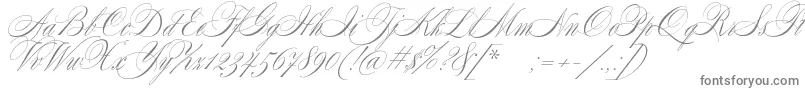 Шрифт SplendidScript – серые шрифты