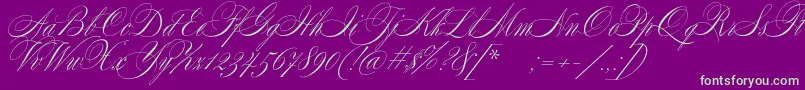 SplendidScript-Schriftart – Grüne Schriften auf violettem Hintergrund