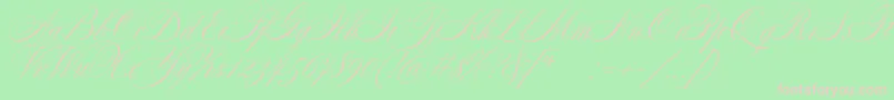 Police SplendidScript – polices roses sur fond vert