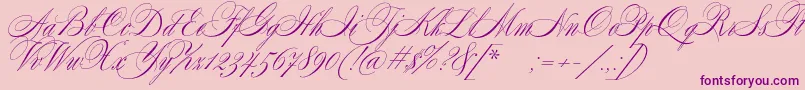 フォントSplendidScript – ピンクの背景に紫のフォント