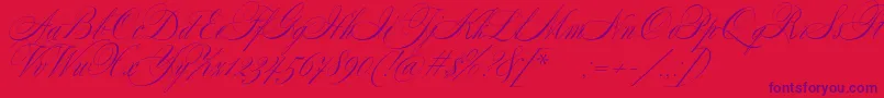 SplendidScript Font – Purple Fonts on Red Background
