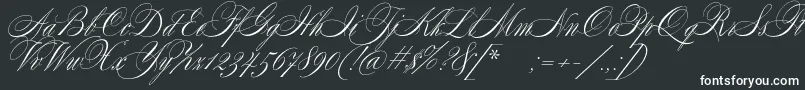Czcionka SplendidScript – białe czcionki na czarnym tle