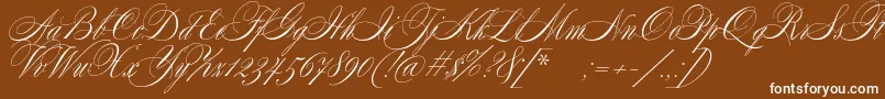 SplendidScript-Schriftart – Weiße Schriften auf braunem Hintergrund