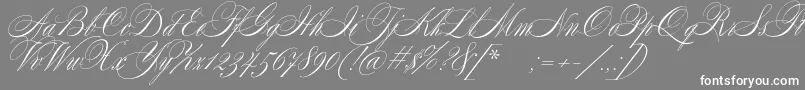 Czcionka SplendidScript – białe czcionki na szarym tle
