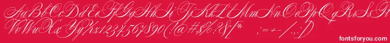 フォントSplendidScript – 赤い背景に白い文字