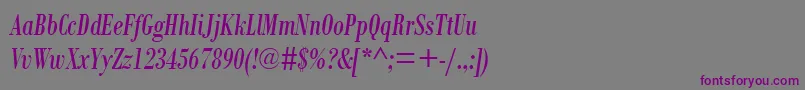 BodoniMtCondensedРљСѓСЂСЃРёРІ-Schriftart – Violette Schriften auf grauem Hintergrund