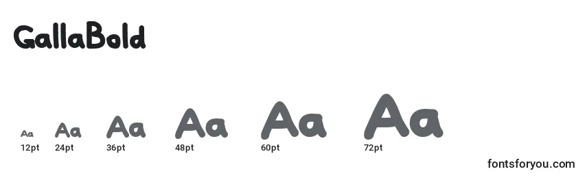 GallaBold Font Sizes