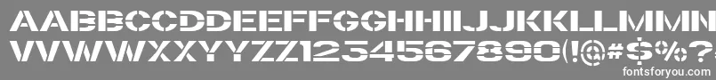 TrafaretKit Font – White Fonts on Gray Background