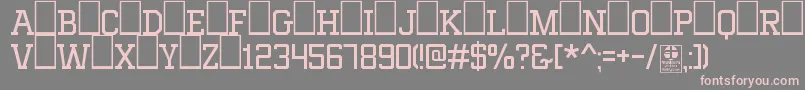 MixivaLightDemo Font – Pink Fonts on Gray Background