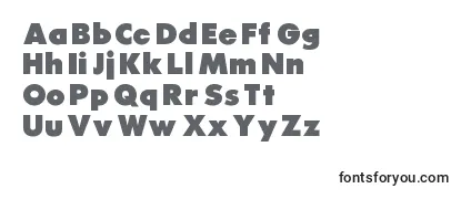 Review of the Raiderfont Font