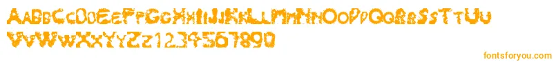 Splash180 Font – Orange Fonts on White Background