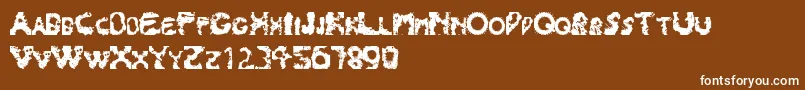 フォントSplash180 – 茶色の背景に白い文字