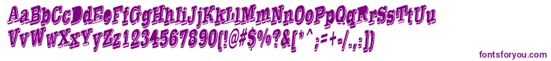 TaylorReverseItalic Font – Purple Fonts on White Background