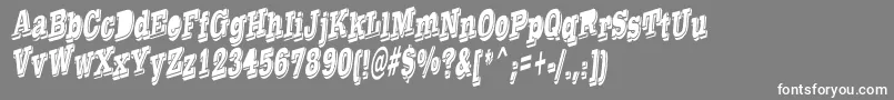 TaylorReverseItalic Font – White Fonts on Gray Background