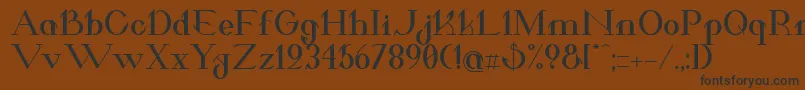 ValkyrieBoldExtended Font – Black Fonts on Brown Background