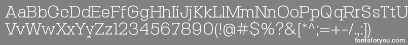 SebslabLight Font – White Fonts on Gray Background