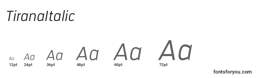 Размеры шрифта TiranaItalic