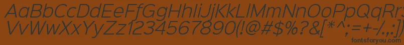 Sinkinsans300lightitalic-fontti – mustat fontit ruskealla taustalla