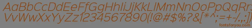 フォントSinkinsans300lightitalic – 茶色の文字が灰色の背景にあります。