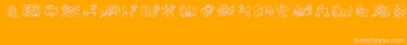 Jahreskreis-Schriftart – Rosa Schriften auf orangefarbenem Hintergrund