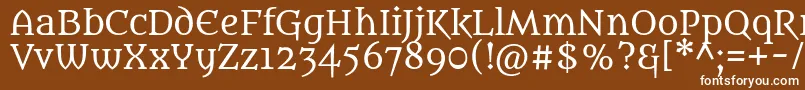 MetamorphousRegular Font – White Fonts on Brown Background