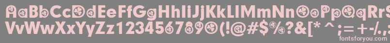 IrishParticipants Font – Pink Fonts on Gray Background