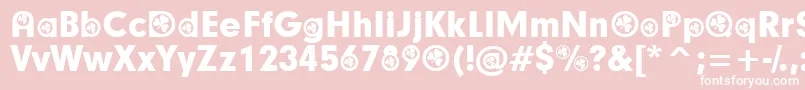 IrishParticipants Font – White Fonts on Pink Background