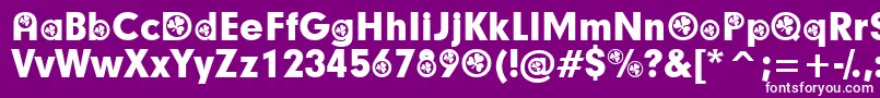 IrishParticipants Font – White Fonts on Purple Background