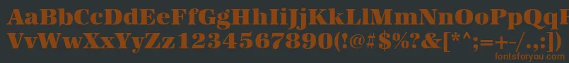 AntiquastdHeavyRegular Font – Brown Fonts on Black Background