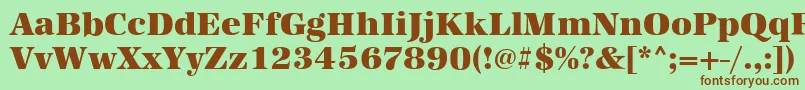 AntiquastdHeavyRegular Font – Brown Fonts on Green Background