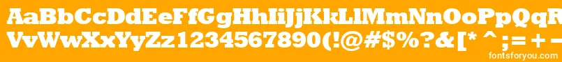 RodeoextraboldNormal Font – White Fonts on Orange Background