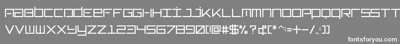 Typeone-Schriftart – Weiße Schriften auf grauem Hintergrund