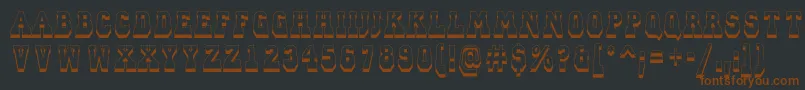 ACampusprspdnsh Font – Brown Fonts on Black Background