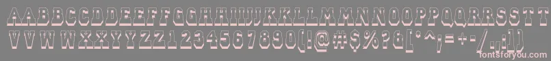 ACampusprspdnsh Font – Pink Fonts on Gray Background